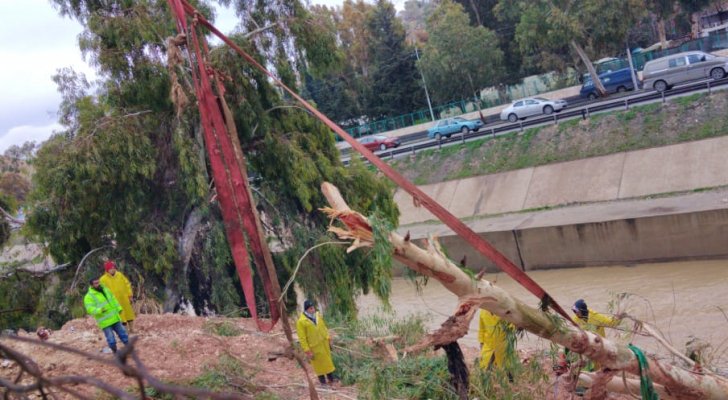 تفاصيل الحالة الجوية السائدة في الأردن