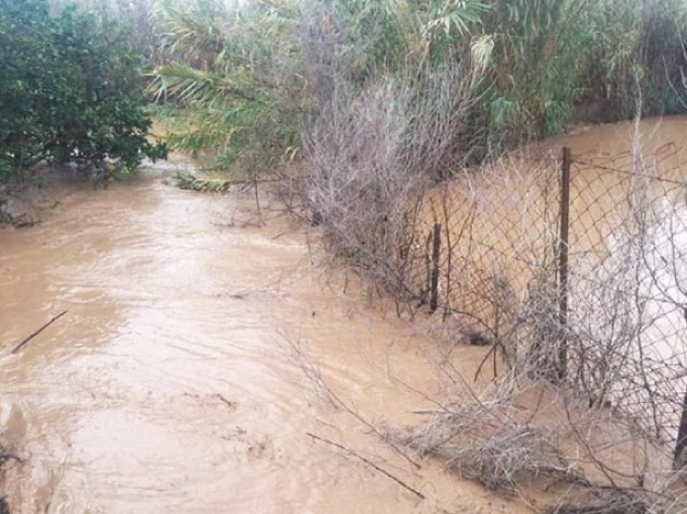 “الزراعة” تحصر أضرار فيضان نهر الأردن..