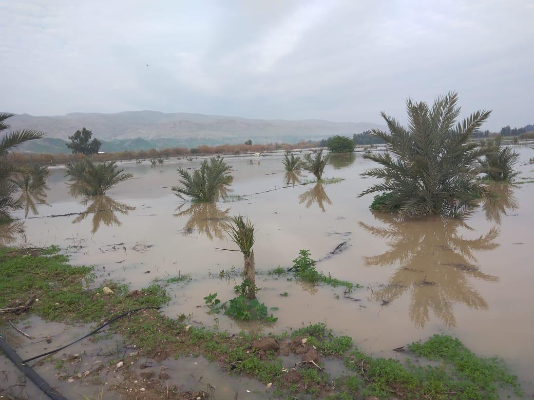 المياه: منسوب نهر الاردن المرتفع يسير