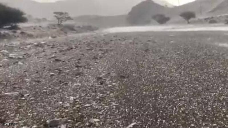 حبات برد وأمطار غزيرة.. موجة لم