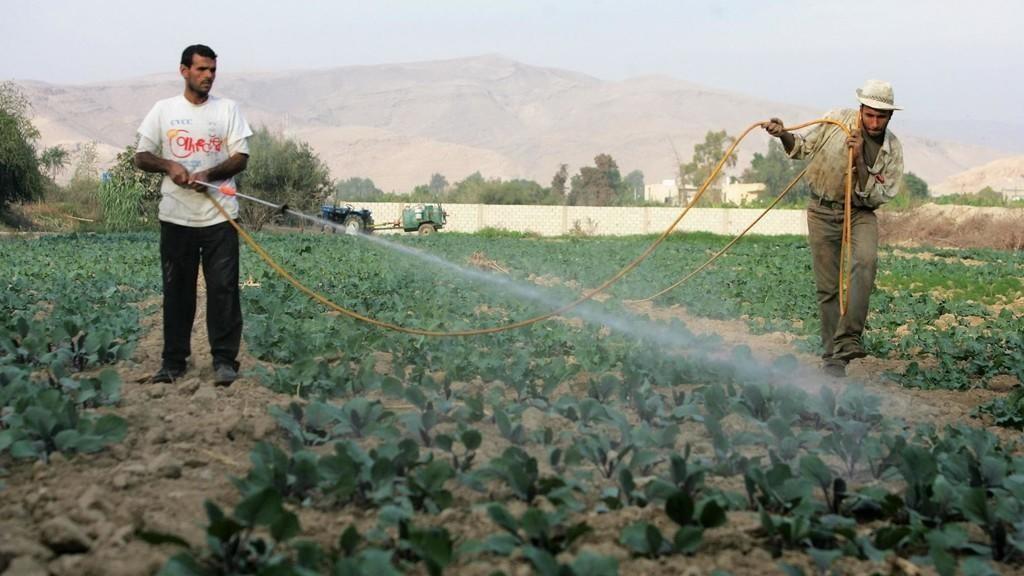 1.596 مليون تصريح عمل مسجل لدى