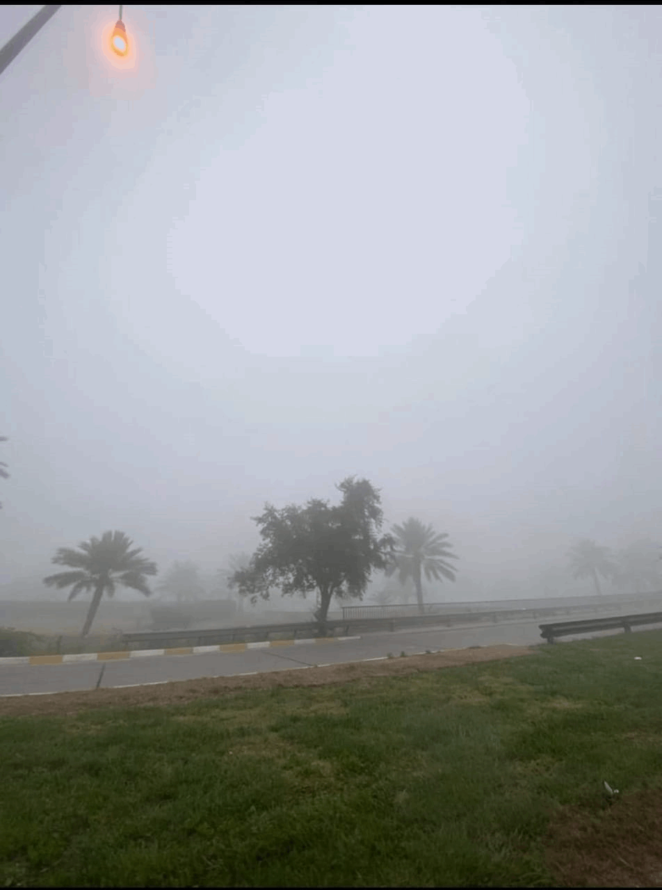 طقس: الضباب يطوّف حول المنازل الثلاثاء