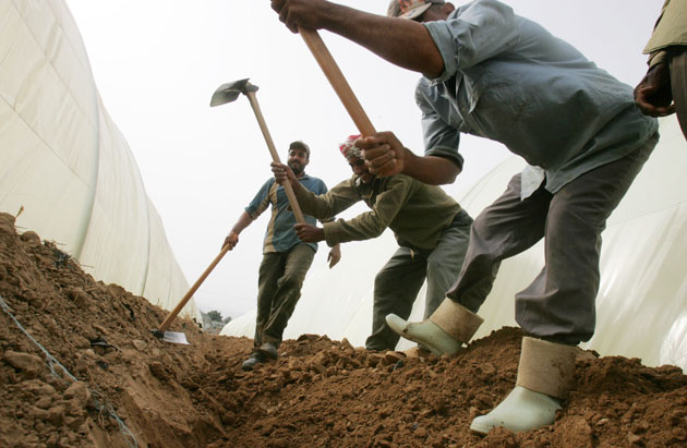 ضبط 105 عمال وافدين مخالفين لقانون