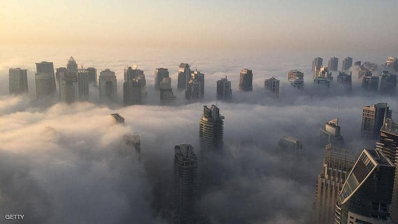 غدا الاربعاء.. بداية موسم «الشبط».. فماذا