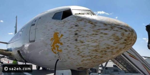 سرب جراد يهاجم طائرة إثيوبية ويجبرها