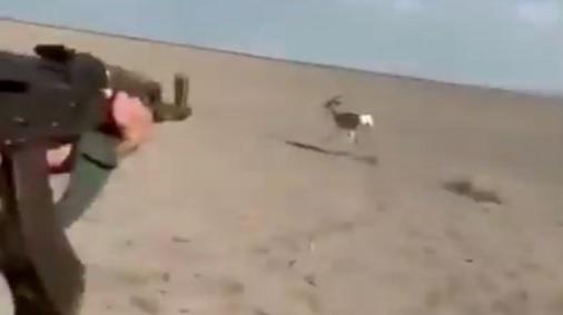 السعودية تحقق بملابسات مقطع فيديو لصيد