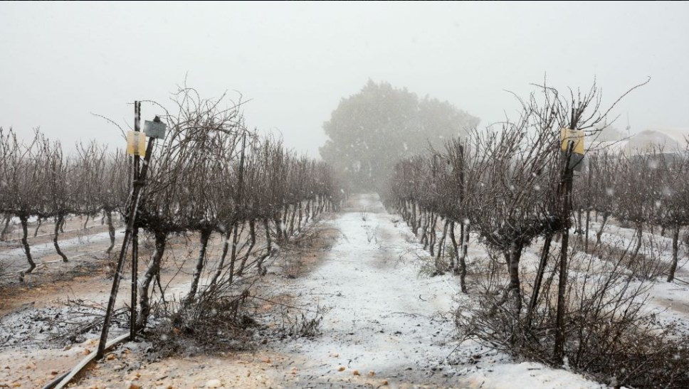 كتلة هوائية باردة وزخات ثلوج.. الثلاثاء