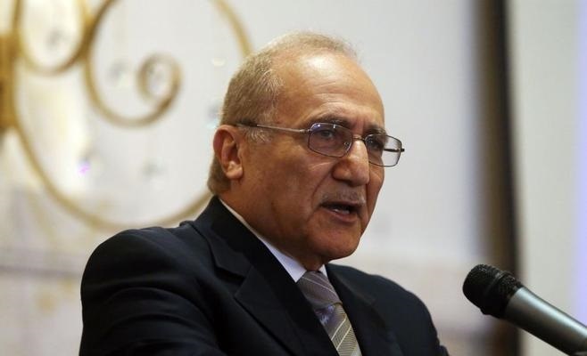 العناني: القوة الإقتصادية تتجسد بالمرونة والقدرة