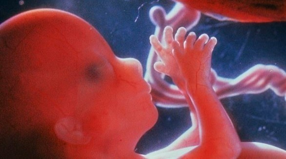 دراسة تحذر: الجنين يشعر بالألم عند