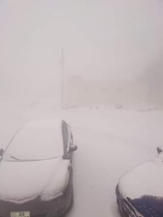 تعليق الدوام في جامعة الطفيلة التقنية