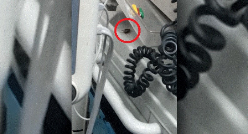 اسقاط دعوى «مصور الفيديو البشير»