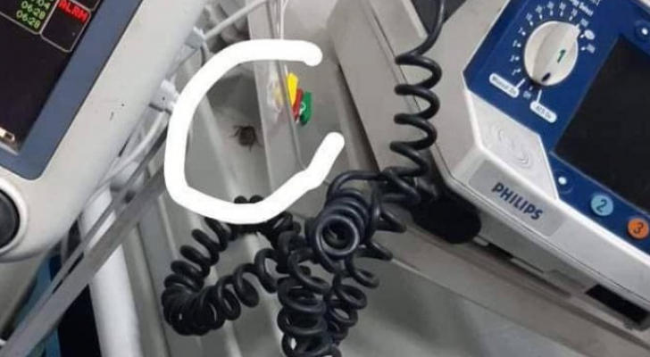 اسقاط دعوى مصور صرصور البشير