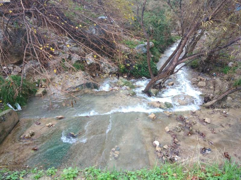 عجلون: تفجر ينابيع المياه يحقق آمال