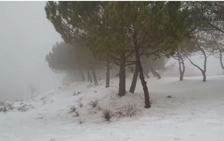 تساقط الثلوج على منطقة الرشادية في