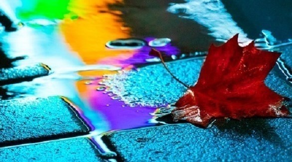 مطر مصبوغ بألوان نيون.. لقطات على