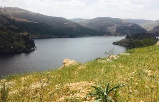 كم بلغت نسبة التخزين في السدود