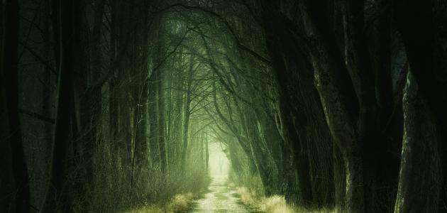 المسيح الدجال