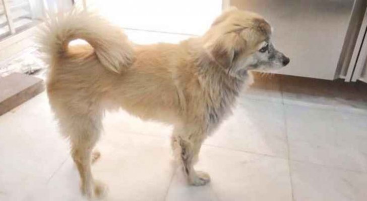 1200 دينار أردني لعامل مصري عثر