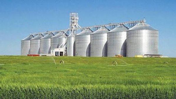 الأردن يشتري 50 ألف طن قمح