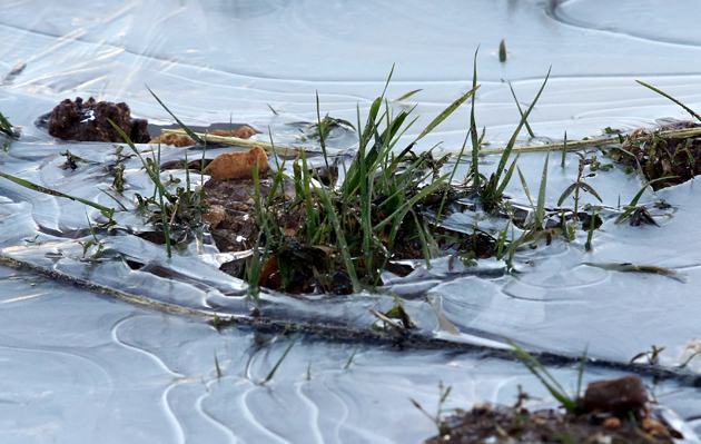 “المربعانية” تغادر غدا.. وتفاؤل زراعي بـ”خماسينية”