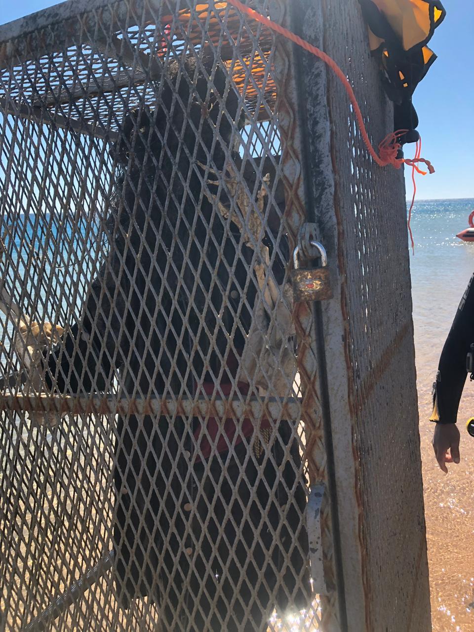 جثة داخل قفص غارقة في البحر