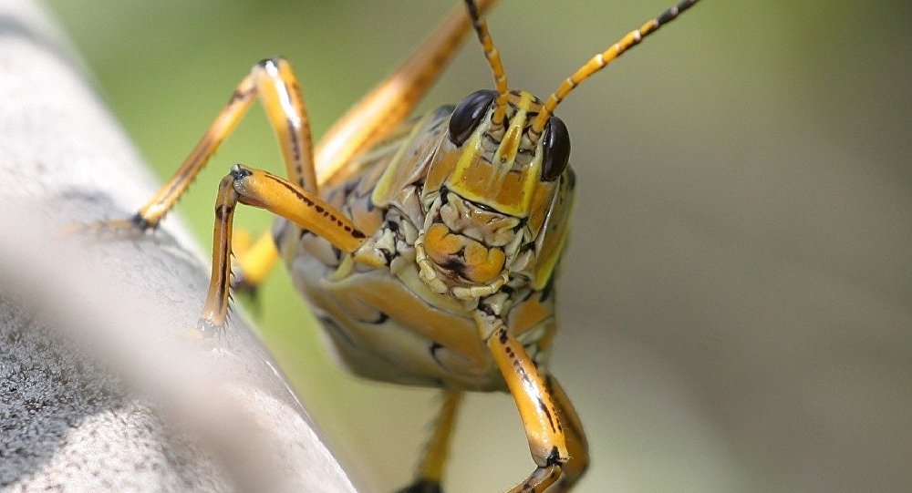 دولة عربية تعلن حالة الطوارئ بسبب