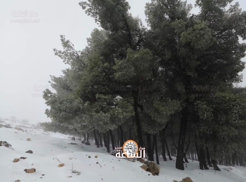 منخفض الجمعة.. . أمطار أم ثلوج