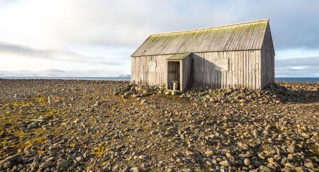 فوائد أكل التراب والطين