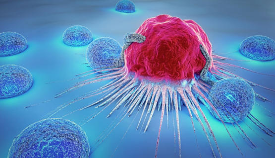 الإفتاء المصرية: المتوفى بالسرطان شهيد