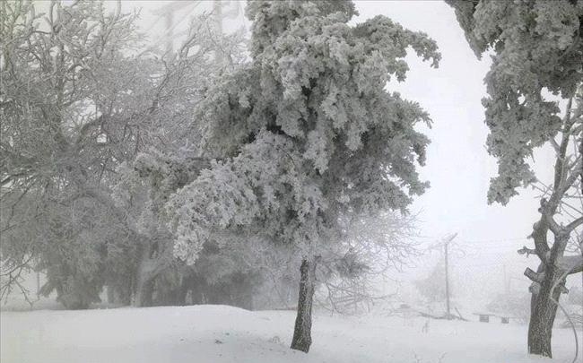 الأرصاد: أمطار غزيرة وثلوج وأجواء شديدة