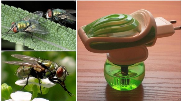 أغراض منزلية تهدد سلامة الحمل