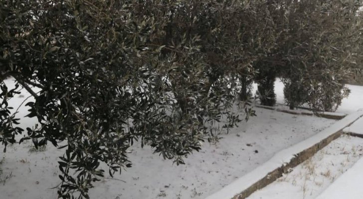 تساقط الثلوج في مرتفعات الشراه جنوب