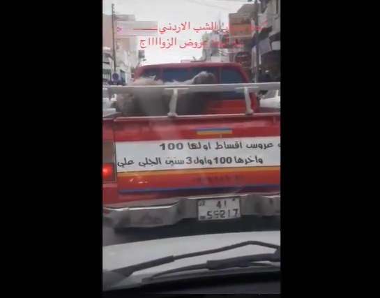 أردني يطلب عروسا بالاقساط .. والجلي