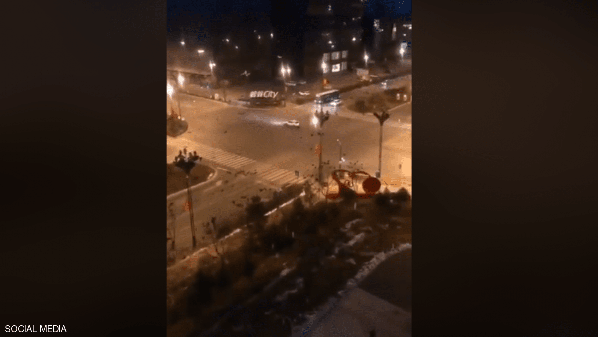 فيديو مرعب.. ما حقيقة آلاف الغربان