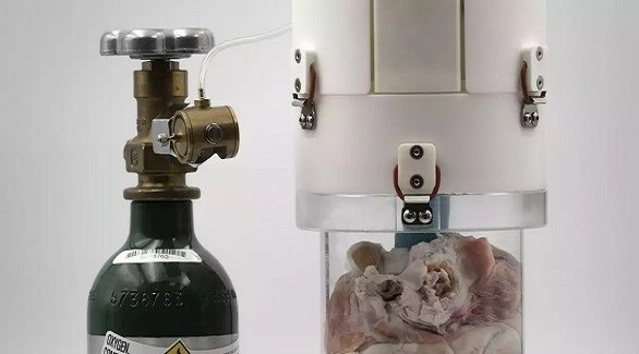 آلة ثورية تبقي القلب يعمل 24