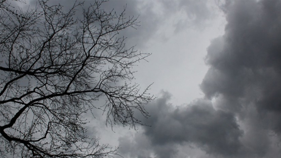 أجواء باردة بوجه عام وفرصة للأمطار