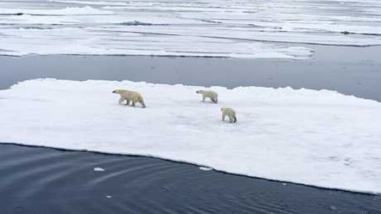 أغنى رجل في العالم يخصص 10