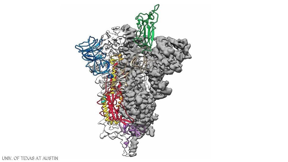 أول خريطة ثلاثية الأبعاد لفيروس كورونا