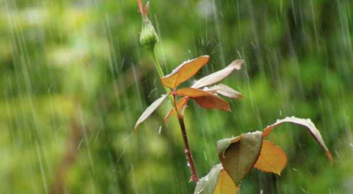 العديد من مناطق المملكة على موعد