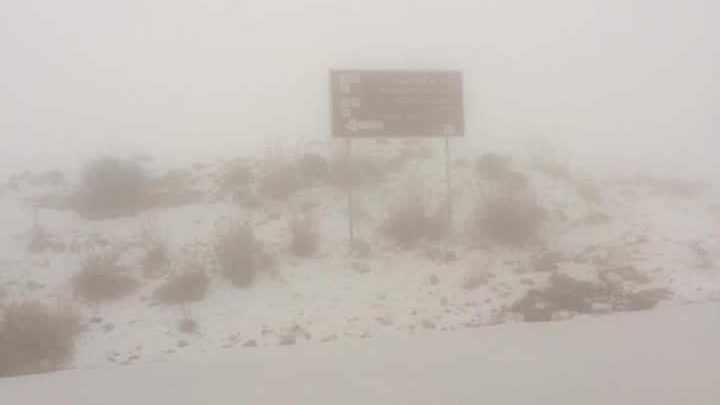 تعليق دوام المدارس في العقبة والبترا