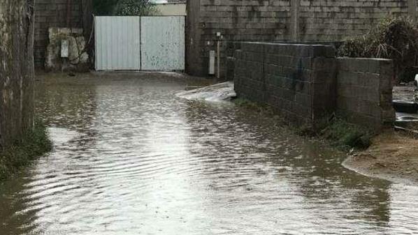 الدفاع المدني ينقذ 24 شخصا حاصرتهم