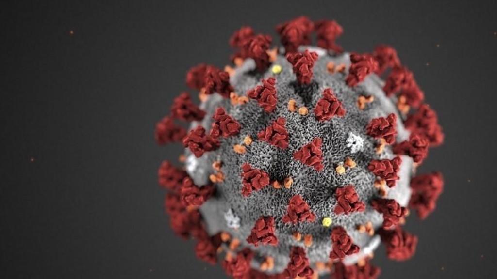 فيروسات كورونا وأعراضها وكيفية انتشارها