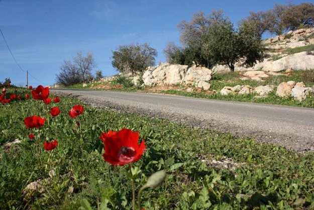 أجواء مشمسة ودافئة.. الأحد