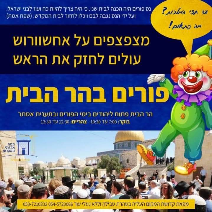 خلال عيد البوريم اقتحامات تهويدية كبيرة