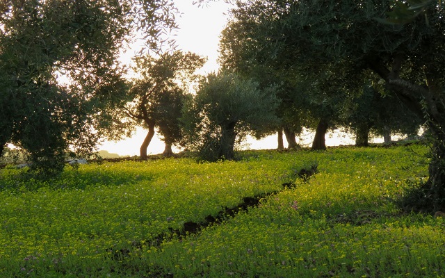 طقس مستقر ودرجات حرارة عشرينية خلال