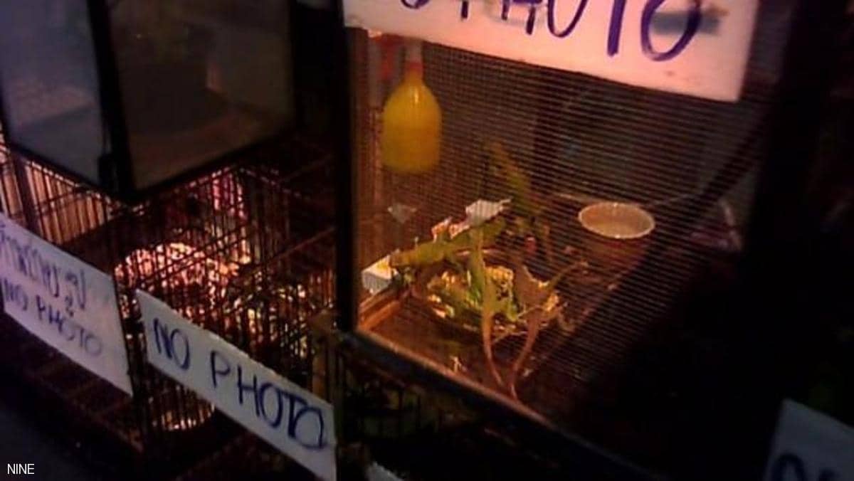 كاميرا سرية تكشف أوكار بيع الحيوانات