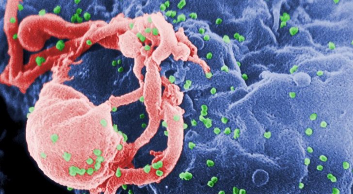 بالخلايا الجذعية.. ثاني حالة شفاء من