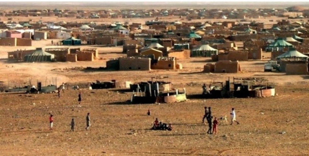 ناشطة صحراوية تكشف عن محنة أسر