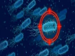 للوقاية من كورونا.. 3 أطعمة خارقة