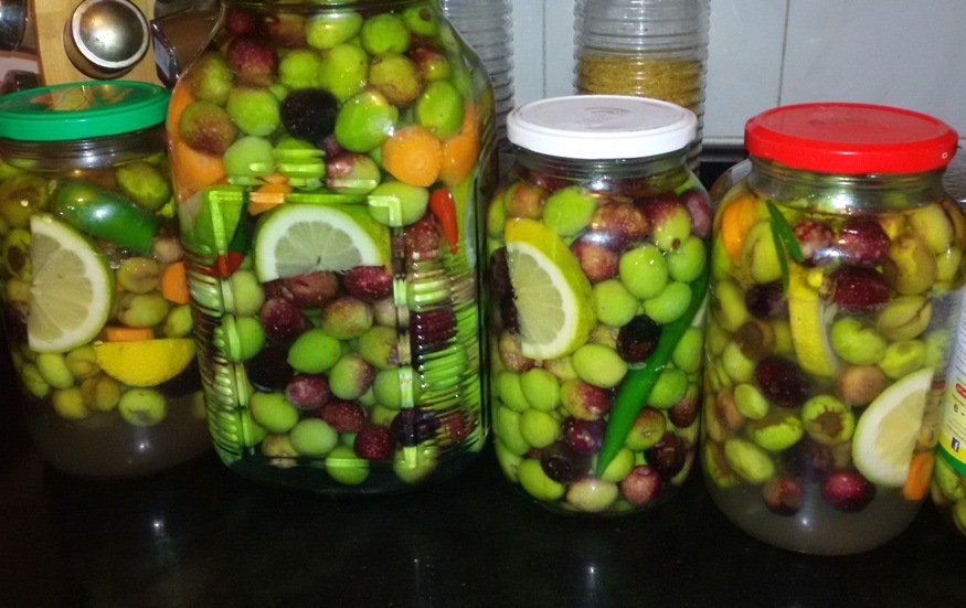 للأردنيين.. الحجر المنزلي فرصة لتعزيز ثقافة